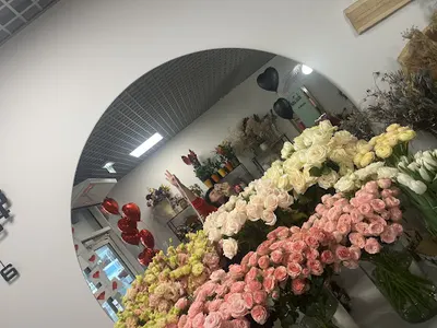 kwiaTuszki — kwiaty Ciechanów